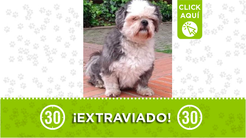 "Coco" fue robado en Bogotá