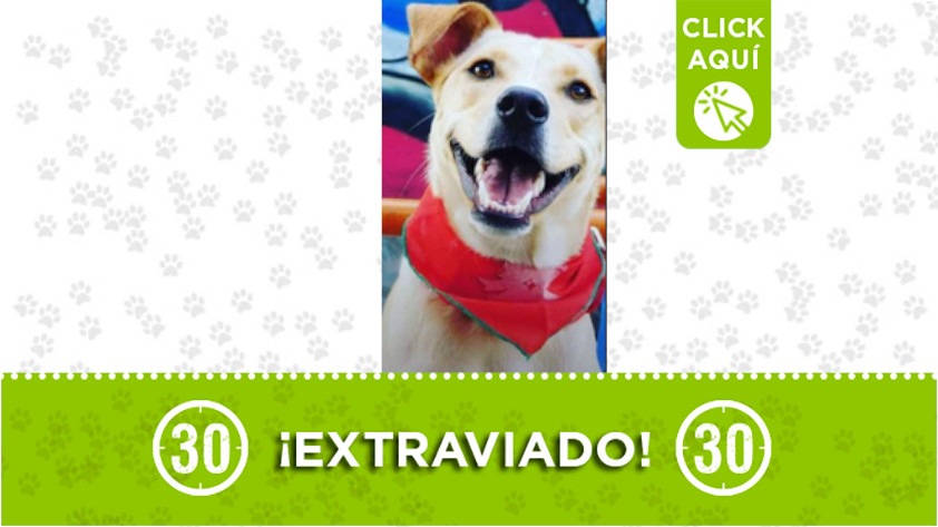 “Niño” se perdió en San Antonio de Prado