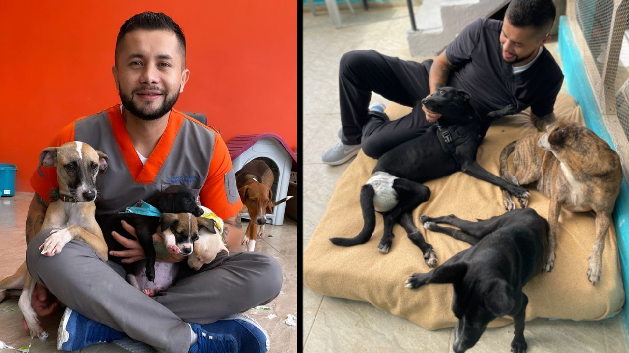 ¡Admirable! Médico veterinario de Medellín rescata a gaticos y perritos sin hogar