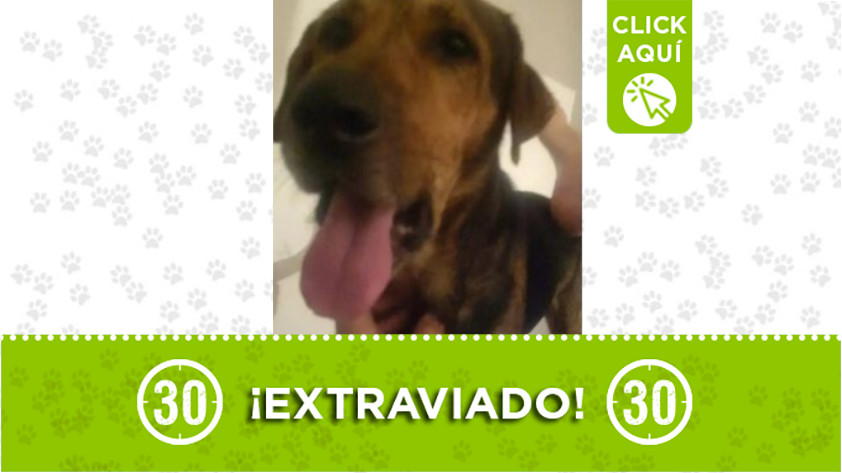 «Mathius» se perdió en Manrique