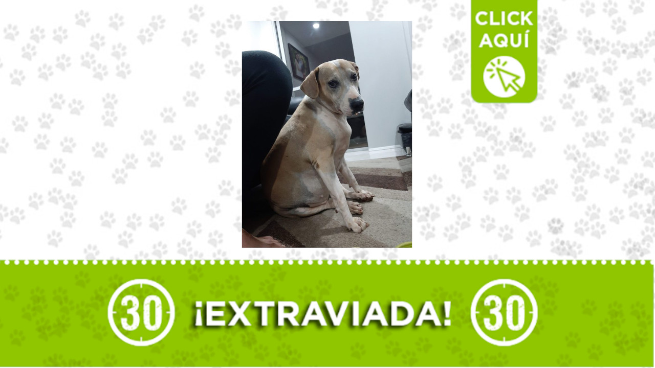 Almendra