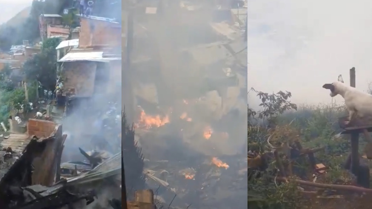 Bomberos y comunidad apagaron el gigantesco incendio de Zamora