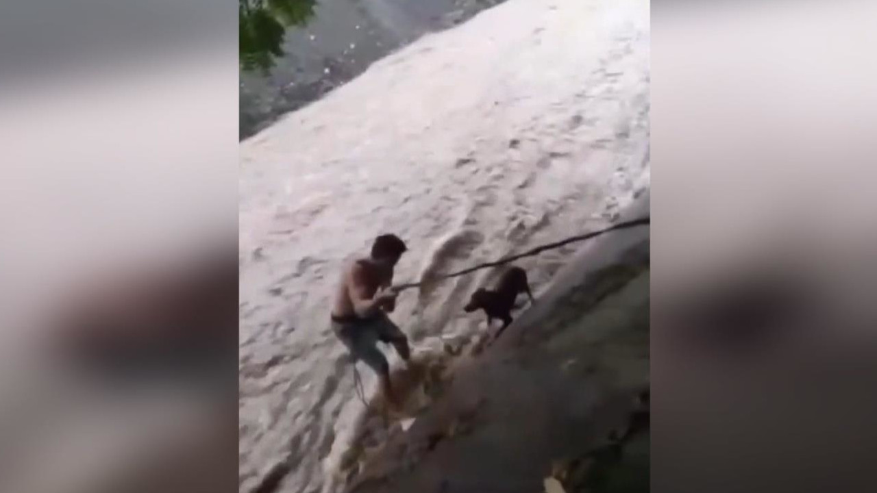 Boxeador rescató a perro por ciclón Julia