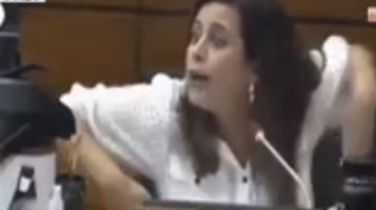 VIDEO. A ritmo robótico, diputada cantó canción de Shakira para confrontar a opositores