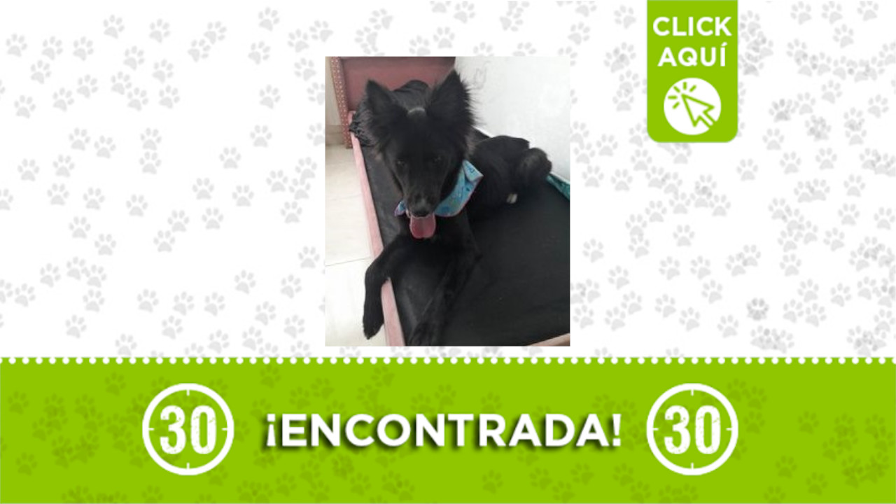 encontrada
