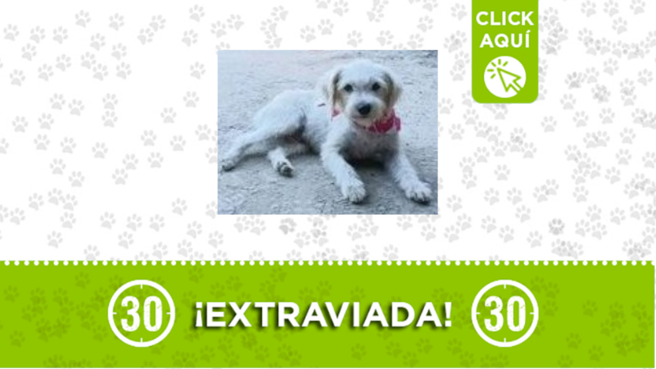 Estrella