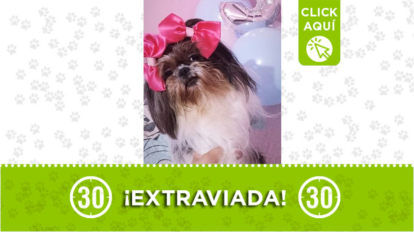 "Luna" se perdió en Belencito