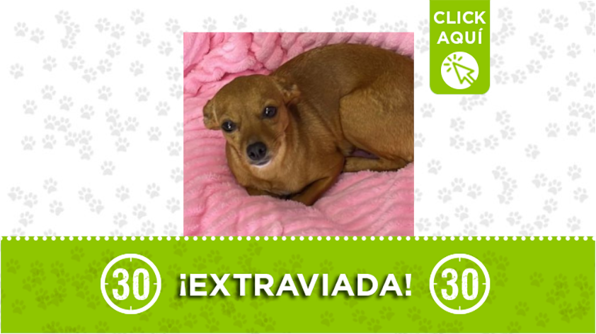 "Estrella" se perdió en el 12 de Octubre