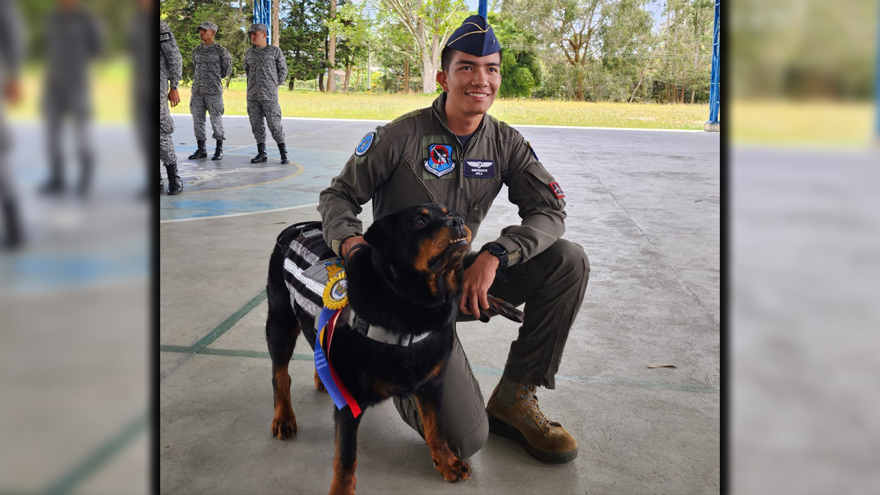 [Fotos] ¡Gracias 'Indiana'! Esta tierna perrita sirvió toda su vida a la Fuerza Aérea Colombiana