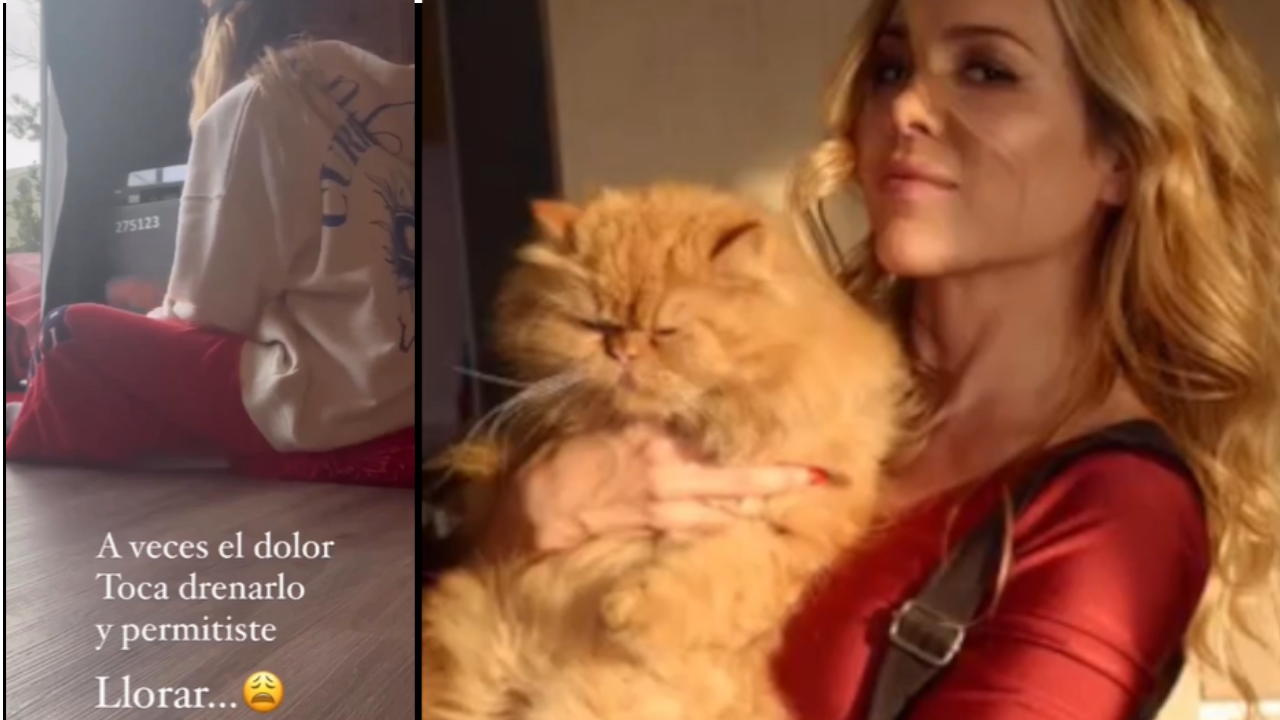 La reflexión de Natalia París tras la muerte de su gatito