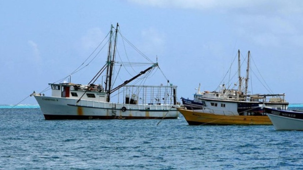 Zarpes Nicaragua