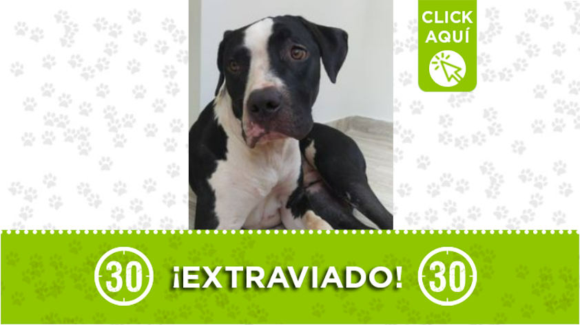 Jonas se perdió en Niquía