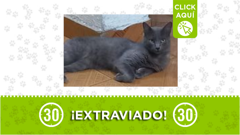 "Odin" se perdió en Niquía
