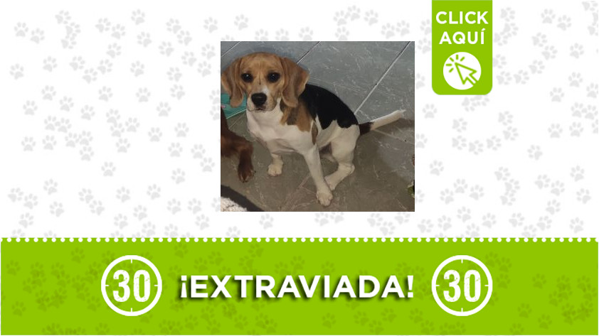 "Estrella" se perdió entre Aranjuez y Manrique