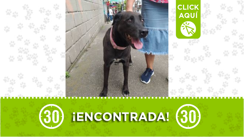 Por favor ayude a difundir para que regrese con su familia