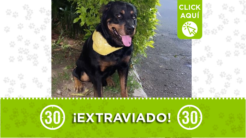 "Draco" se perdió en Rionegro