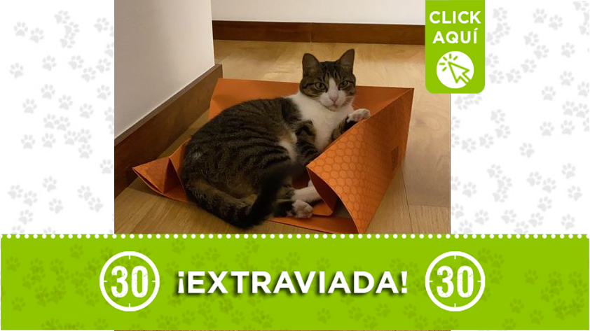 "Mía" se perdió en Envigado