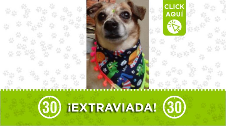 «Luna» se perdió por la estación Berlín del Metroplús Minuto30