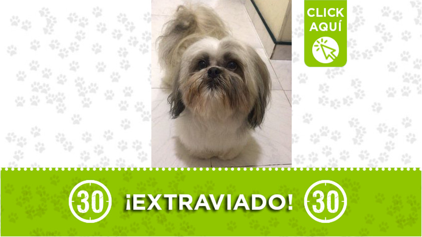 ‘Pirata’ se extravió en Belencito Betania