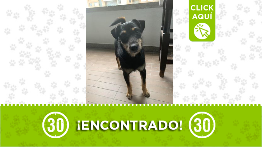 Lo encontraron en Calazans