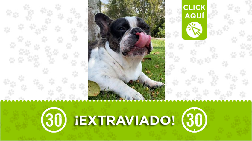 Manolo se perdió en Provenza