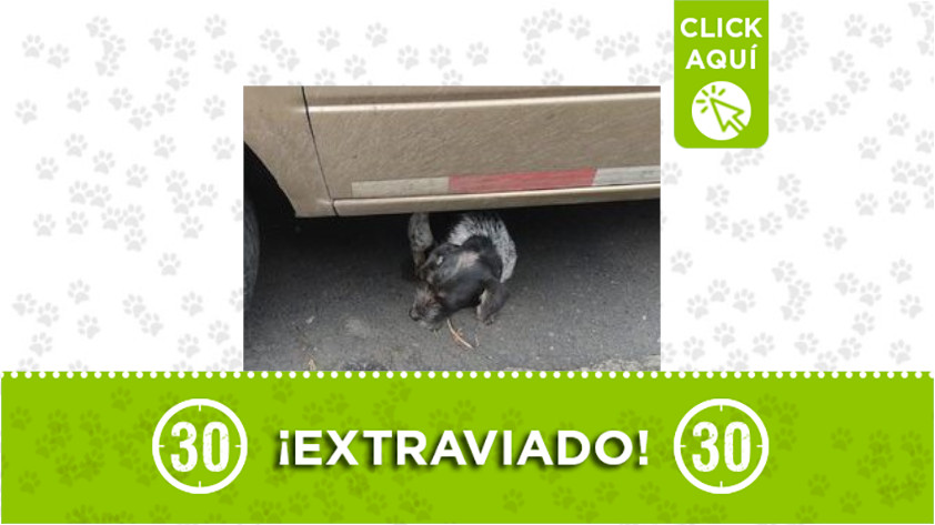 Clínica del Norte