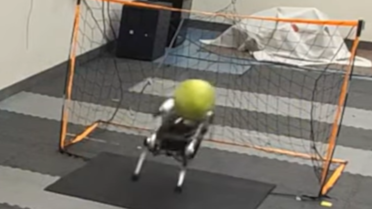 Perro robot sorprende en redes por su habilidad para tapar penales