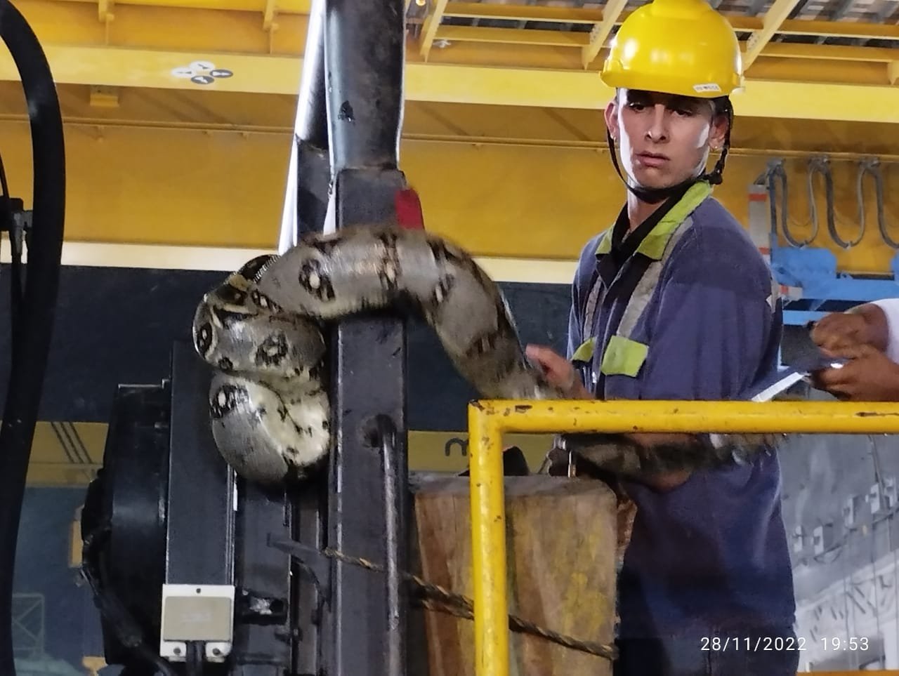 Serpiente en Hidroituango 3