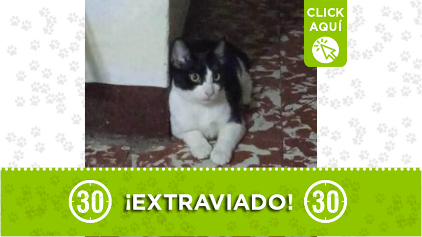 "Jupiter" se perdió en Manrique