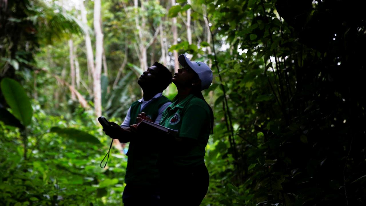 FOTOS Y VIDEO Los "guardianes de la selva", los protectores de los