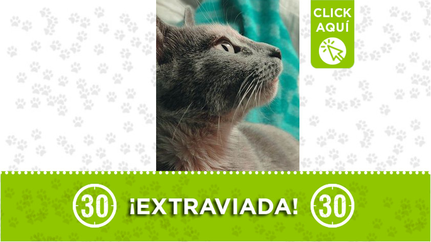 Kéfera se extravió Andalucía