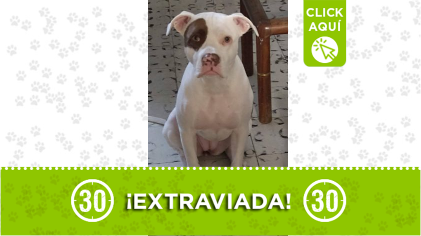 Zaira se perdió en Santa Cruz