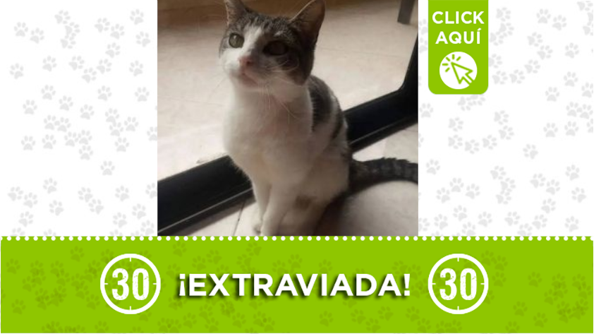 "Sisi" se perdió en Envigado