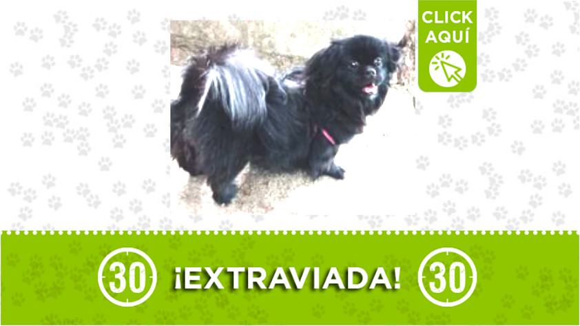 Kathy se extravió por la cancha de Jardin - Manrique