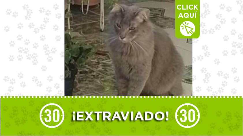 Martín se perdió en Robledo