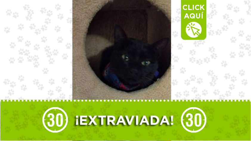 "Sombras" se perdió en Envigado