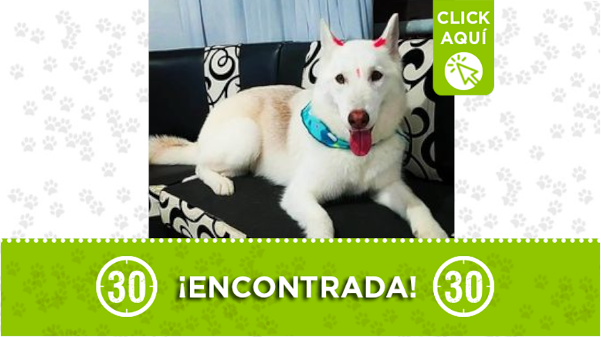 "Alaska" se perdió en Robledo