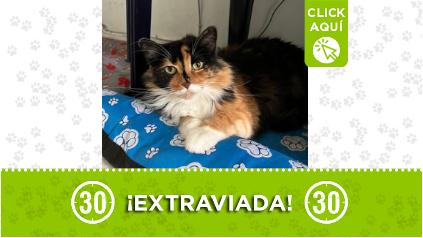 "Kiara" se perdió en Itagui