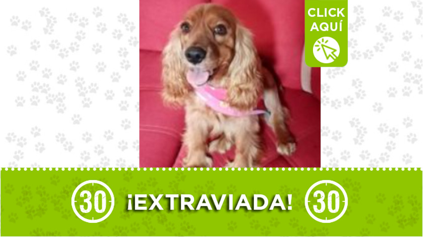 «Matilda» se perdió por Manrique Jardín