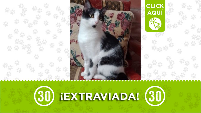 «Gina» se perdió en El Poblado