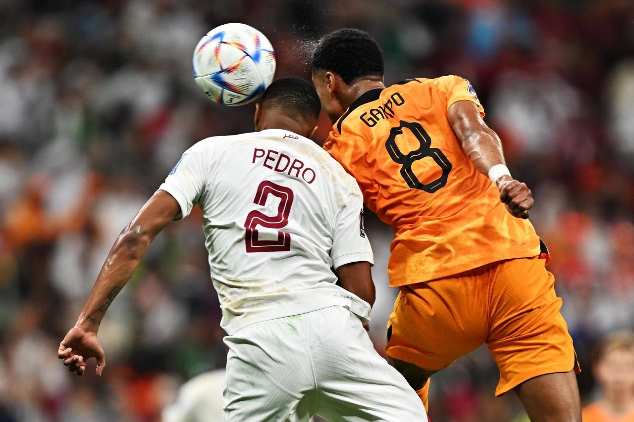GALERIA DE FOTOS: 2-0. Al 'tran tran' hacia octavos 7 paises bajos catar07