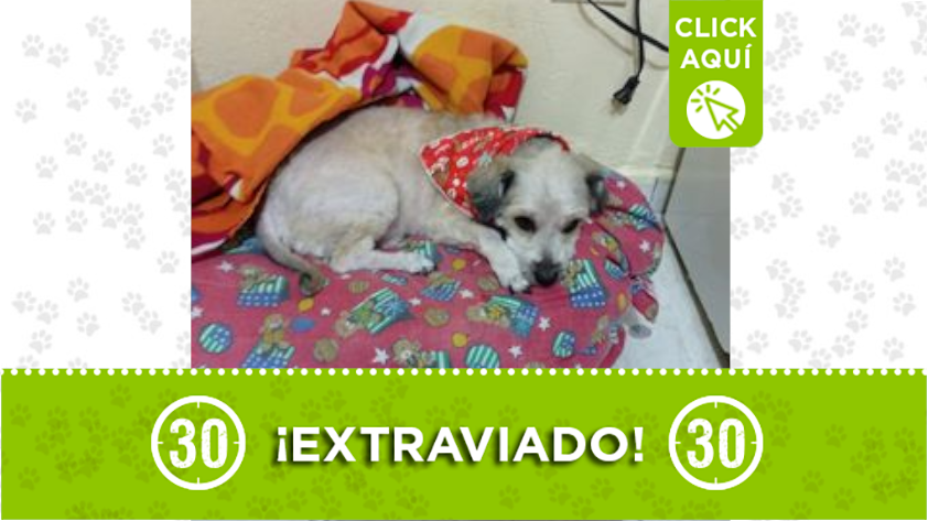 "Rony" se perdió en Santa Cruz
