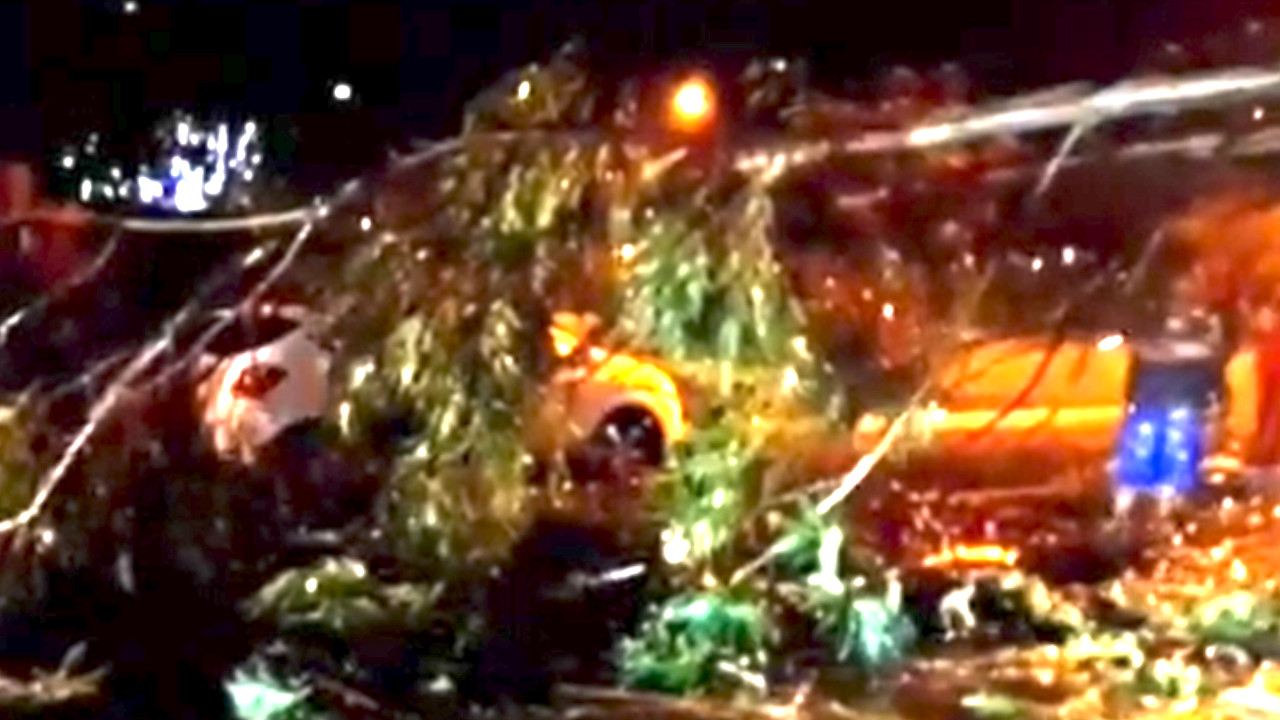 Movilidad reducida en la Variante a Caldas: Árbol se cayó y desplomó 2 postes de energía