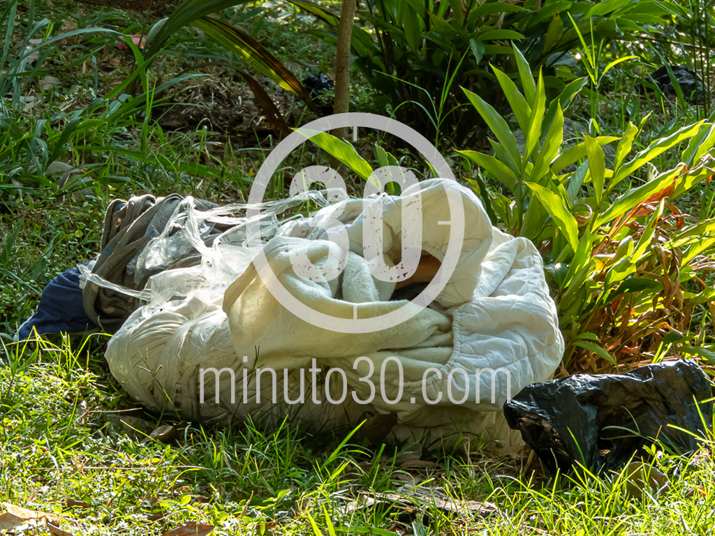 <div class="s3bubble" data-code="rngexg"></div>