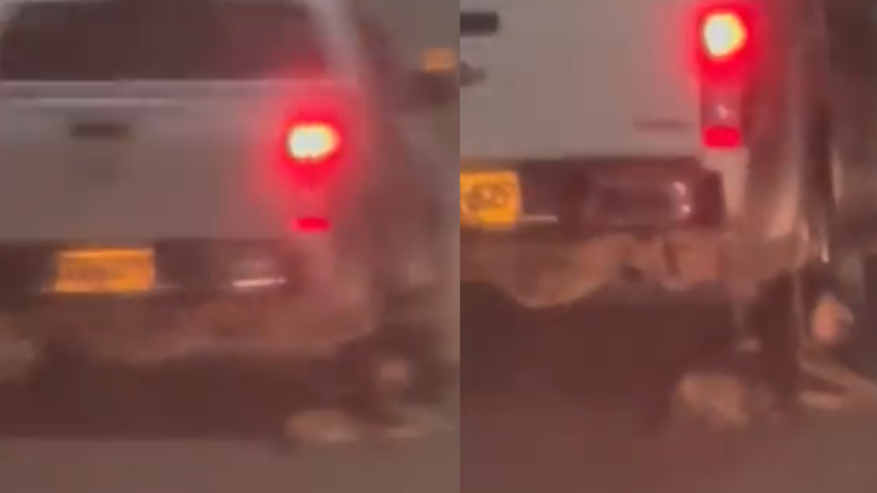 Arrastraron un perrito amarrado a camioneta