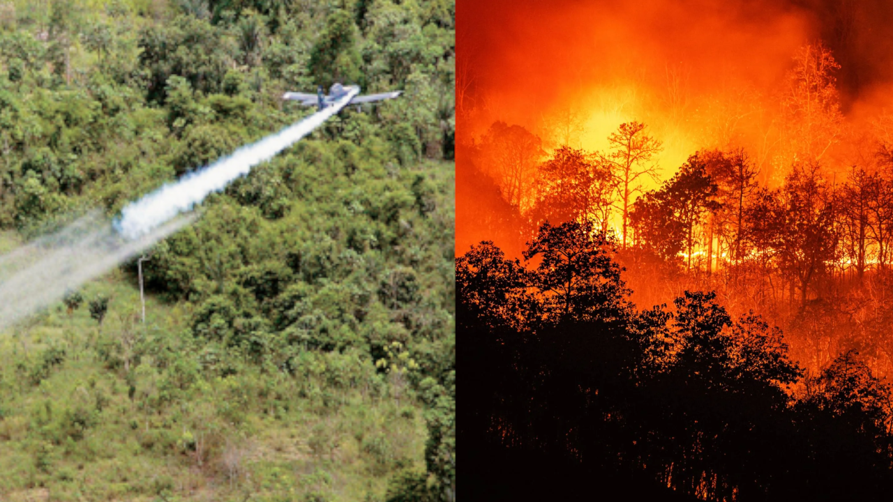Avionetas usadas para asperjar glifosato ayudarán ahora a controlar incendios
