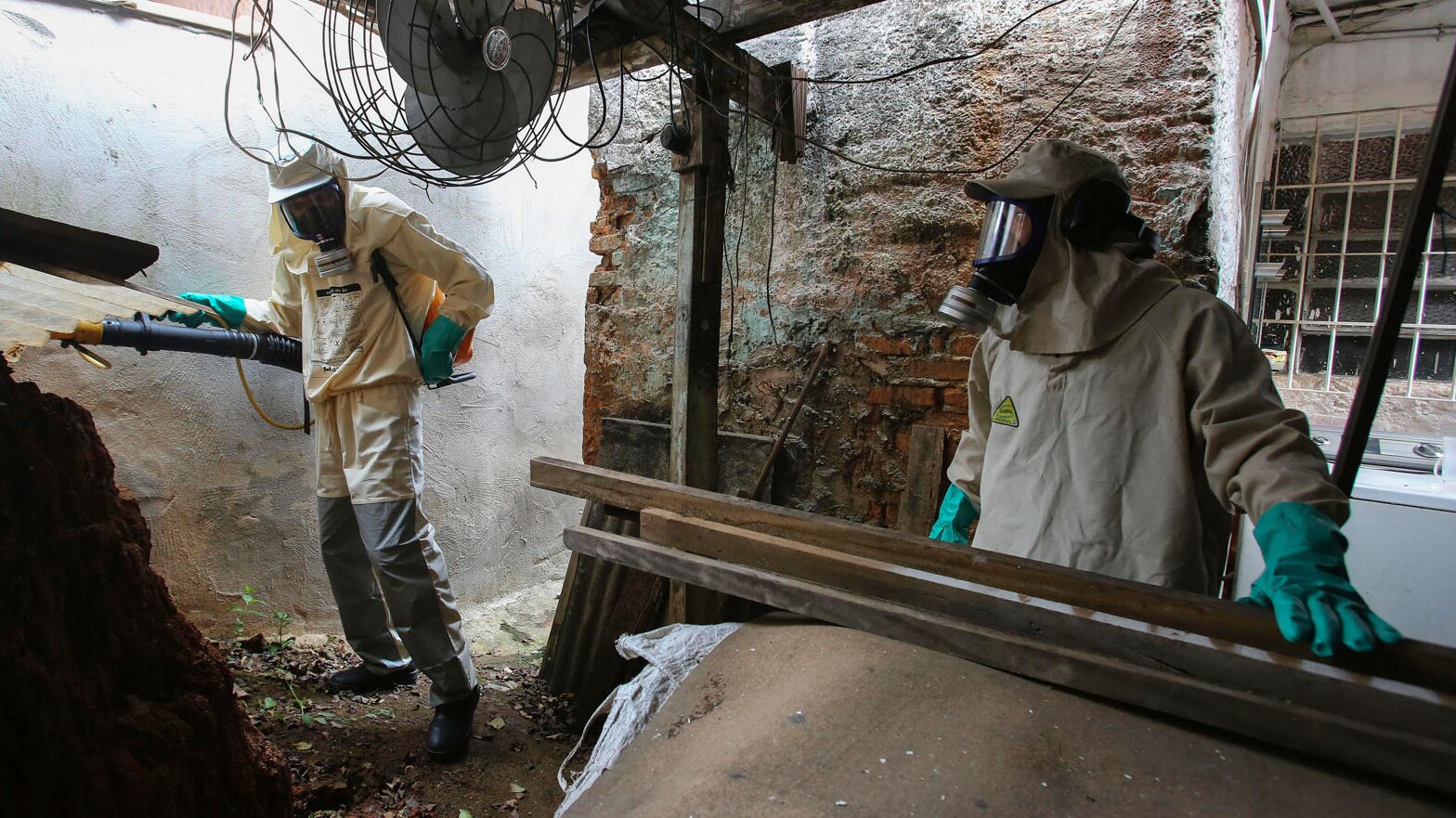 Brasil muertos por Dengue