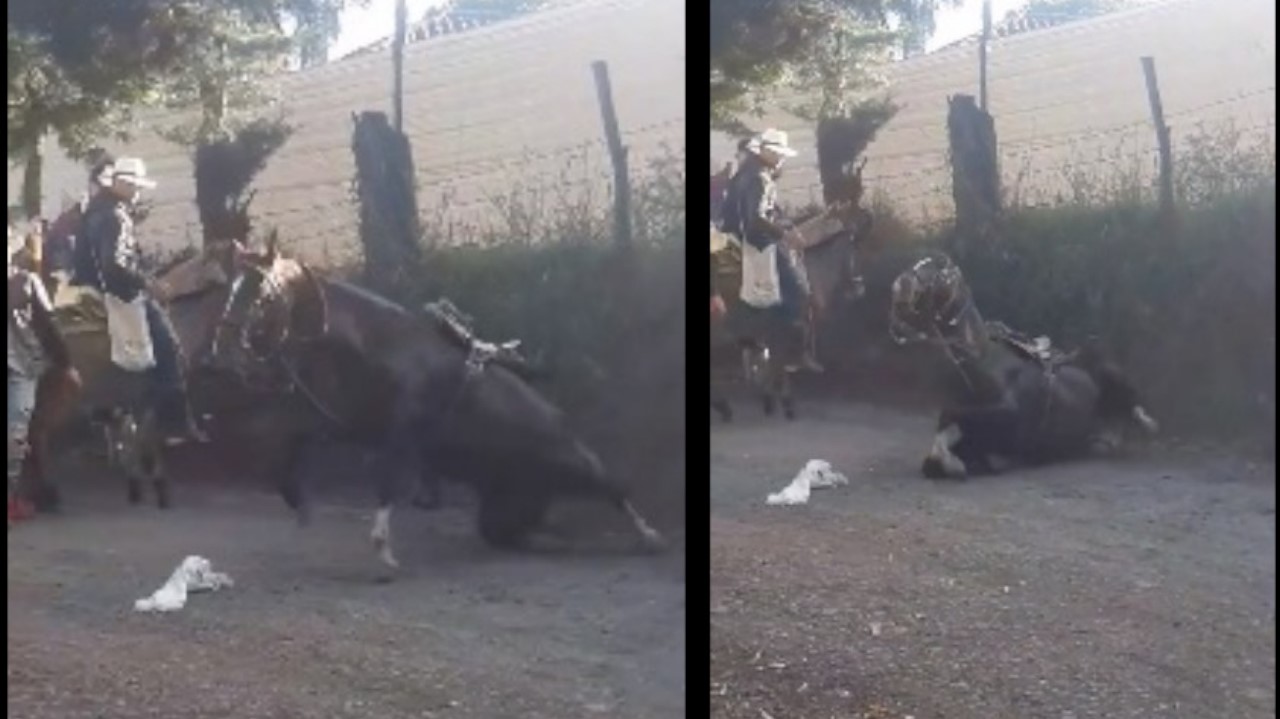 Denuncian dramatica situacion en medio de cabalgata en Ubala Cundinamarca