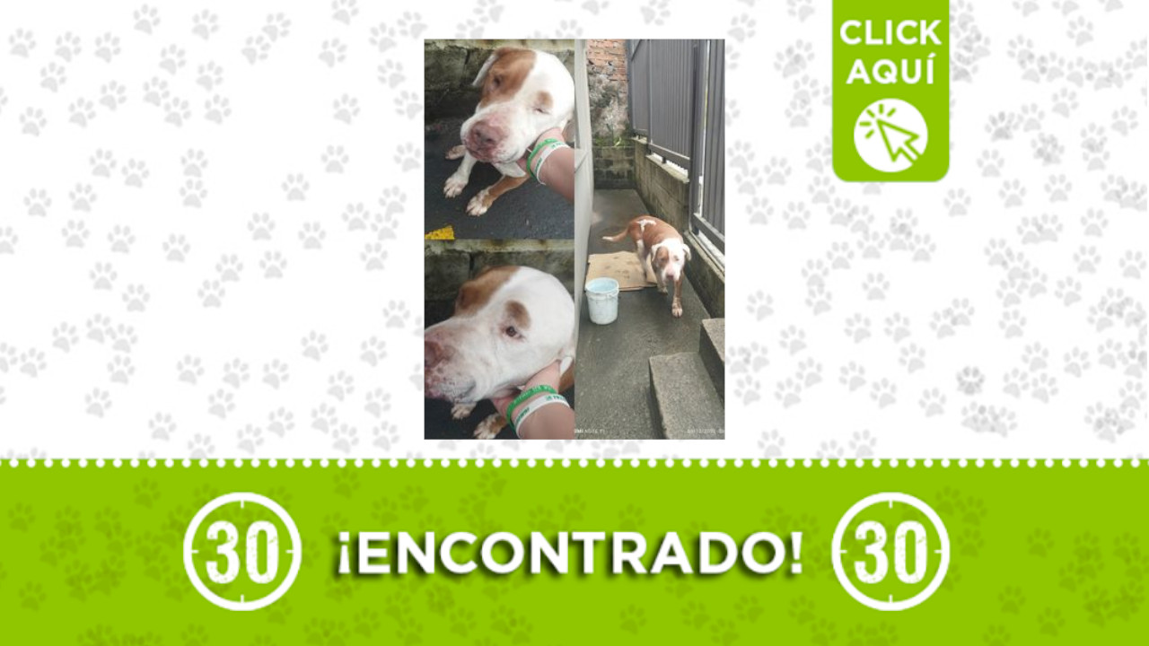 Encontrado