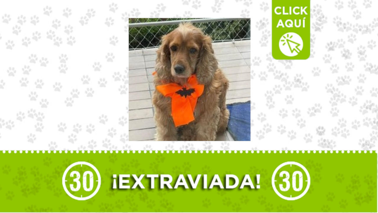 Canela